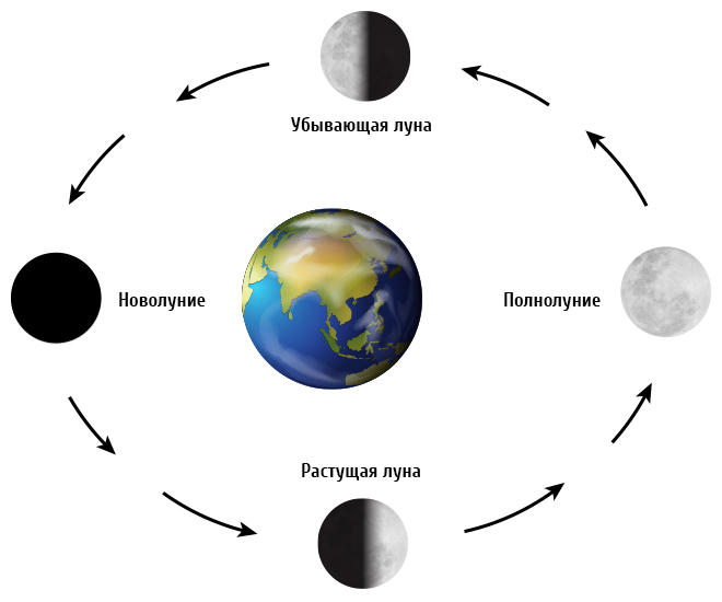 Какой сегодня лунный день по календарю Казахстана 2020, сейчас, завтра