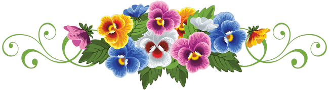 Календарь цветов однолетних и многолетних июнь 2018 года