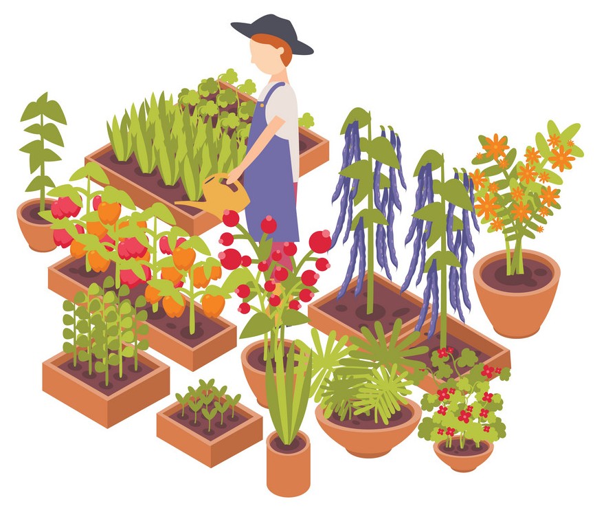 Календарь Огородника мая 2020 - благоприятные дни посева и посадок