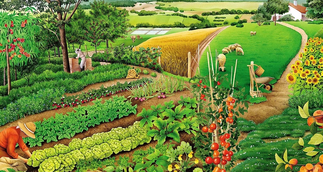 Календарь огородника Средней полосы России 2020 посевной, посадка картошки, капусты, томат, огурцы, лук, чеснок, рассада