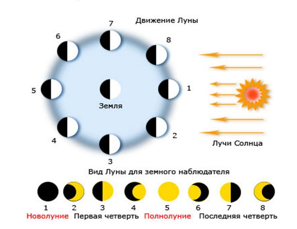 Календарь с лунными днями Урала 2020  по месяцам, на завтра
