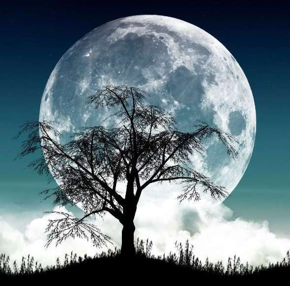 Луна в феврале 2020, дни Луны, календарь с Луной сегодня, какая