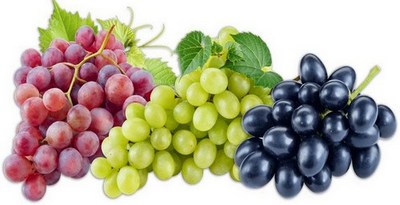 Обрезка винограда весной и осенью 2022 для начинающих, схема, картинка, описание
