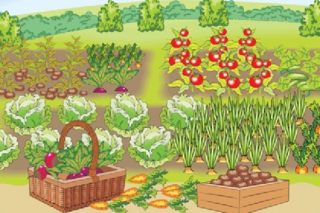 Огородный календарь - Огородникам с благоприятными днями 2021 года
