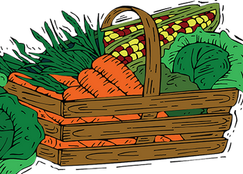 Посадка моркови, когда сажать рассаду морковки 2018
