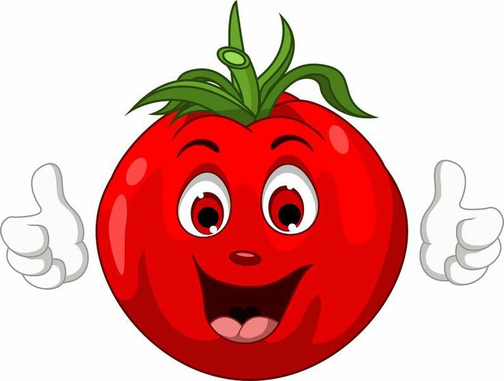 Посев семян томатов, высадка рассады помидоров в открытый грунт и теплицу, сроки посадок, таблица высаживания в 2020 году