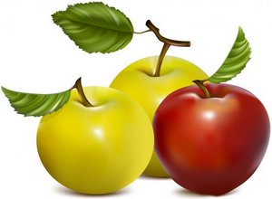 Схема правильной обрезки ветвей яблони 1, 2, 3, 4, 5 летней