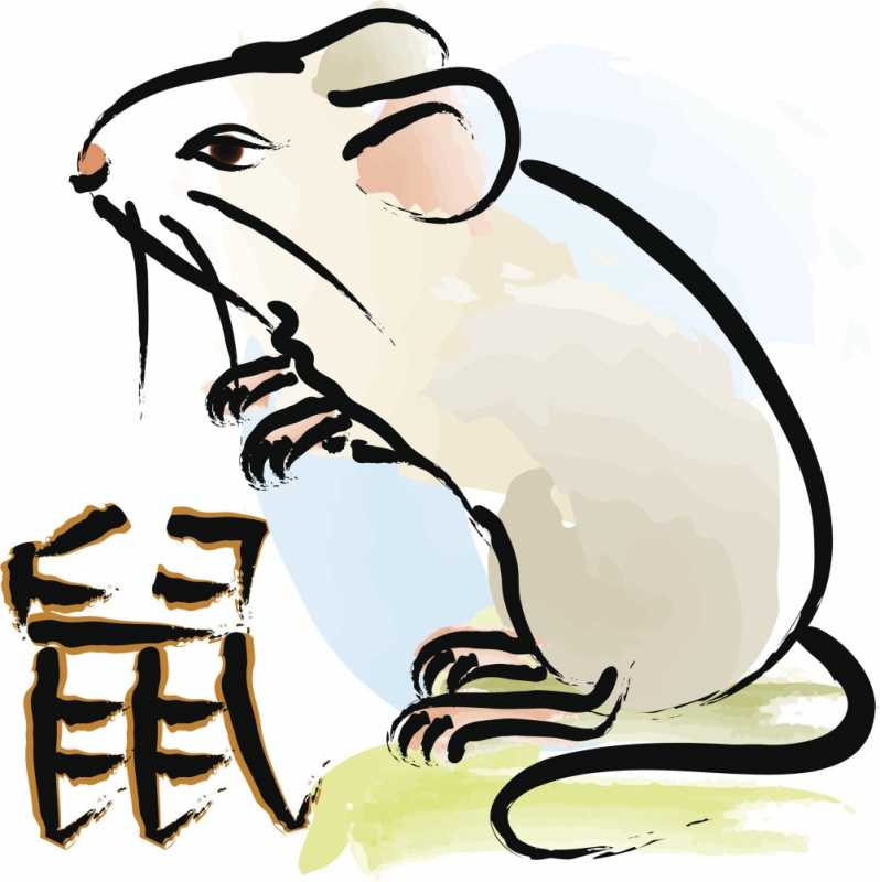 Год Крысы По Китайскому Гороскопу