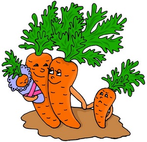 Благоприятные дни посадки моркови 2024 март, апрель, май, июнь на рассаду, когда сеять семена