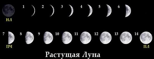 Благоприятные лунные дни, календарь самых благоприятных на каждый день 2021