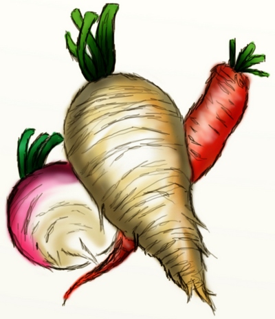 Даты высадки морковки, топинамбура и свеклы, когда высаживать в грунт и теплицу