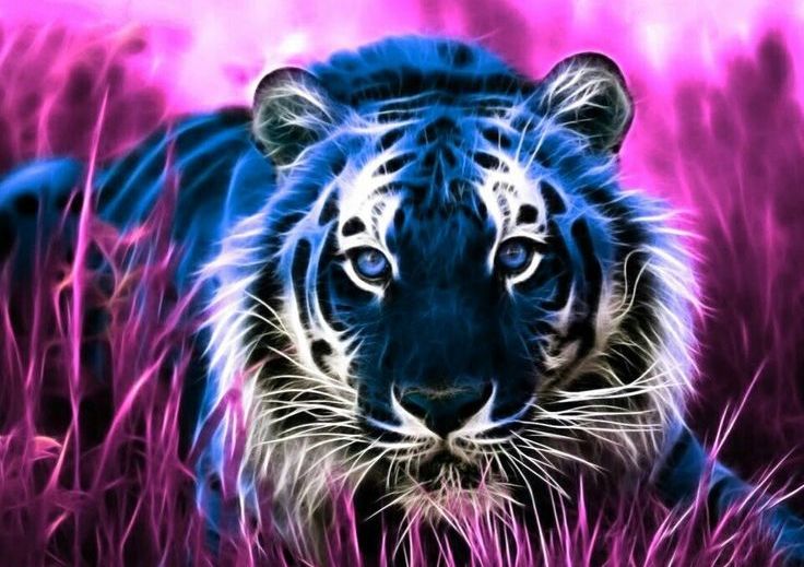 Животное 2022 Какого Животного Новый Год, Тигра, Какой по Китайскому календарю, восточному знаку