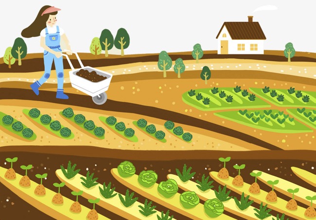 Когда сеять семена и сажать рассаду в Беларуси 2020