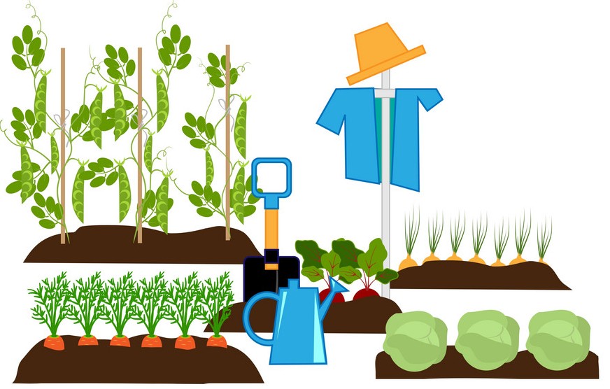 Лунный календарь огородника Чувашии 2020, посевной и посадочный, посева семян и посадки рассады в благоприятные дни, таблица