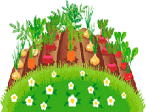 Лунный календарь огородника 2021 посева и посадок, апрель