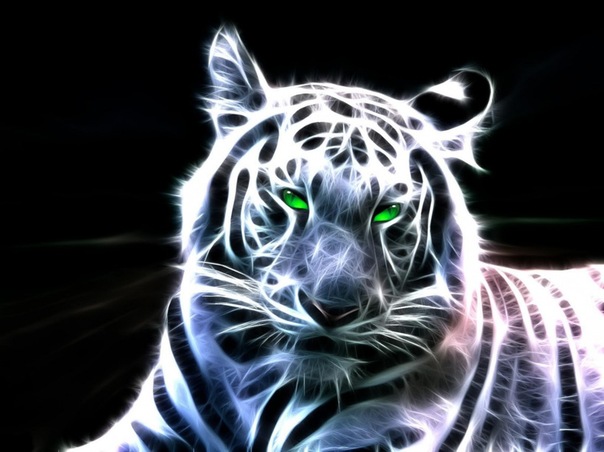 Новый год Тигра для знаков Зодиака, что их ждет в 2022 году?