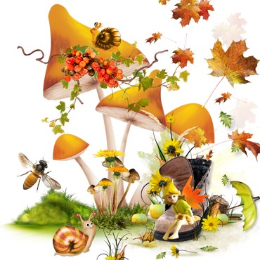 Осенняя природа, календарь природы осени