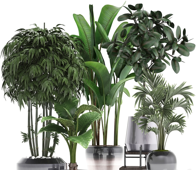 Посадка комнатных растений 2020 сажать в домашних условиях, посев дома, лунный календарь, сроки