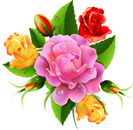 Посадка роз весной 2019 когда сажать розы в открытый грунт черенками
