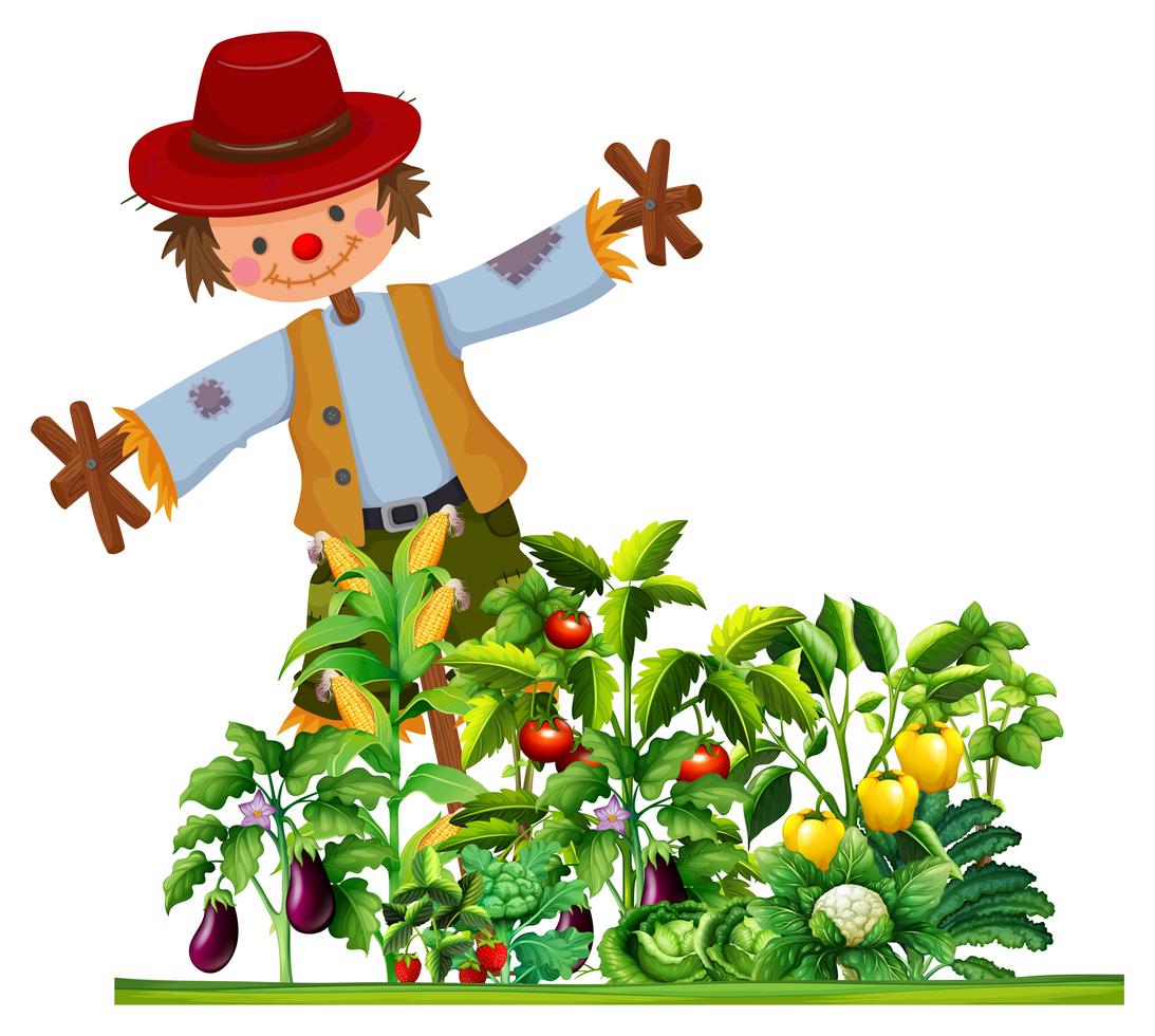 Посев семян в феврале 2020 сеять семена перца, томатов, огурцов, капусты, баклажан, моркови, редиса, свеклы