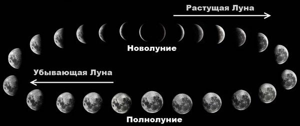 Растущая Луна какого числа март 2019