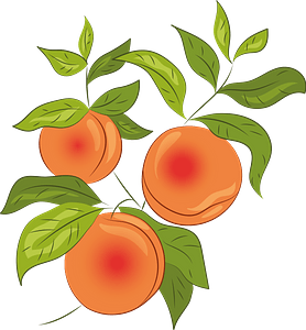 Схема правильной обрезки ветвей персика 1, 2, 3, 4, 5 летнего