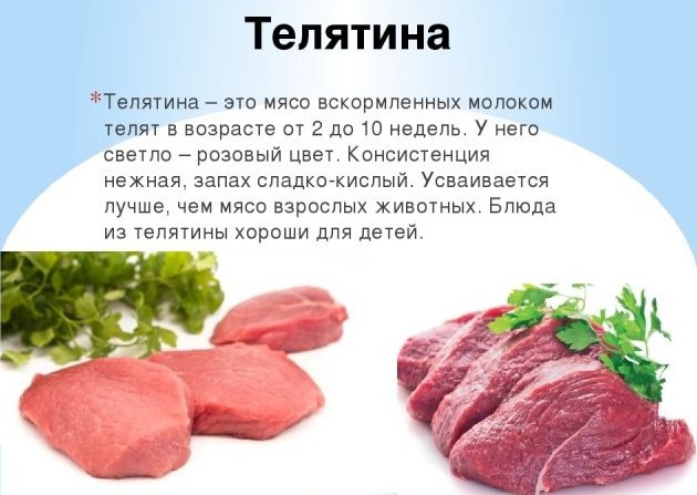 Состав и пищевая ценность телятины на 100 гр. веса