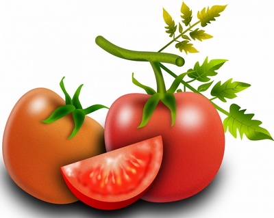 Высаживание томатов 2022, когда высаживать семена на рассаду лучше, благоприятные дни высадки в грунт